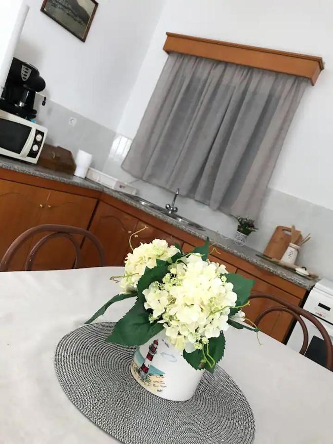 Villa Konstantina Skaliá Buitenkant foto